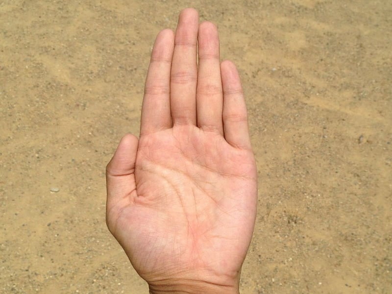 palm of your hand meaning in tamil